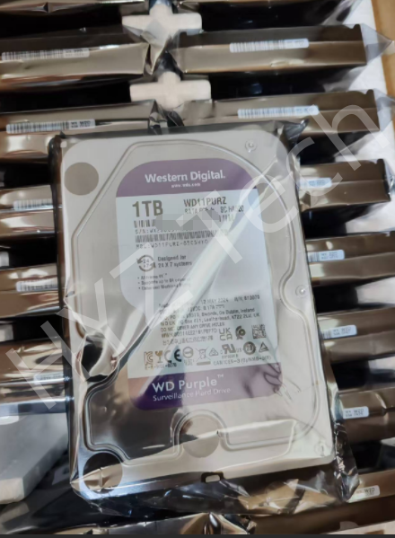 Western Digital 1TB 